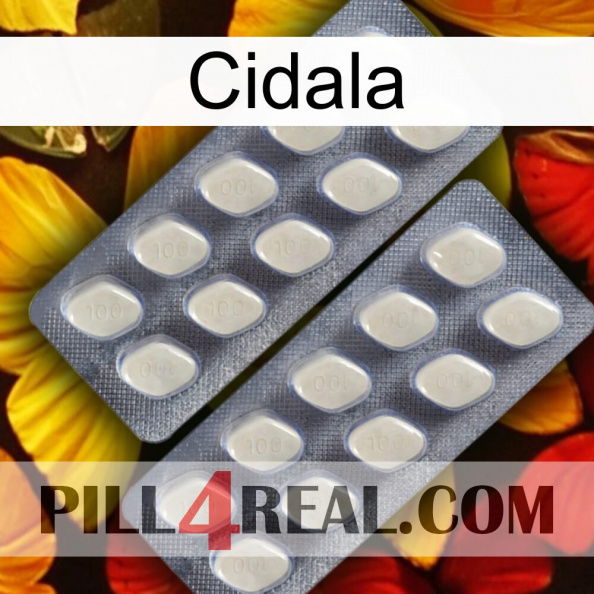Cidala 07